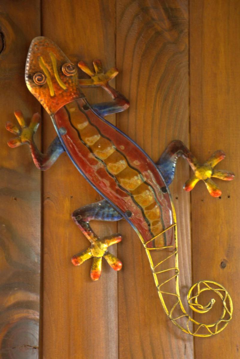 Gecko Cottage Guesthouse - Housity