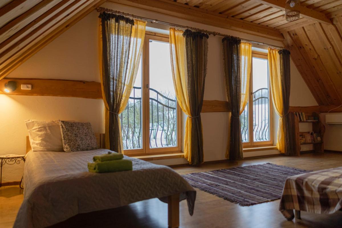 Ružas - Housity