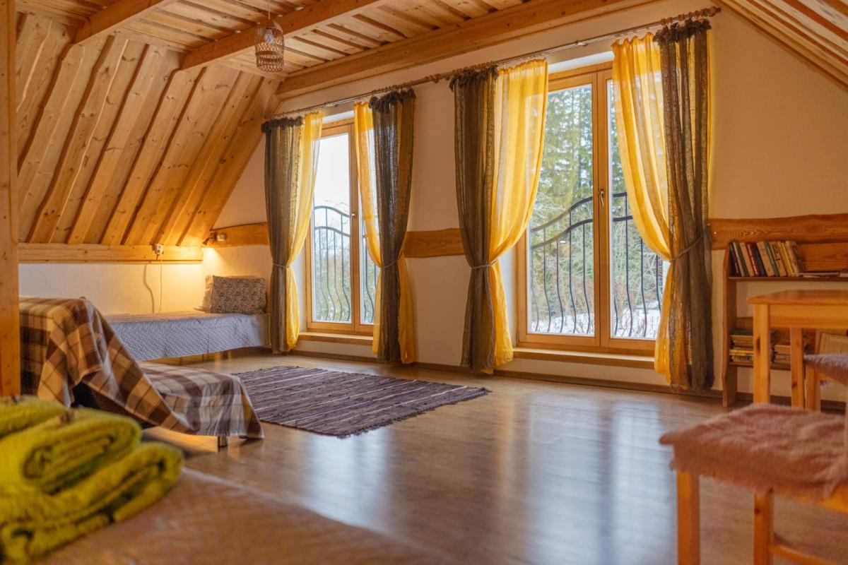 Ružas - Housity