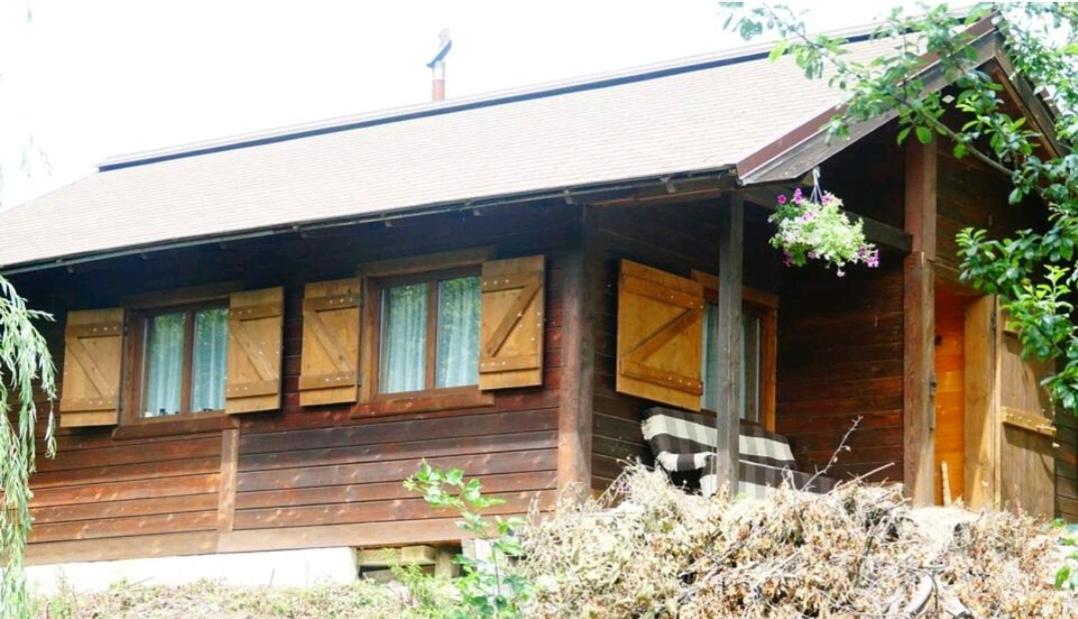 Cabana in Bucovina - Housity