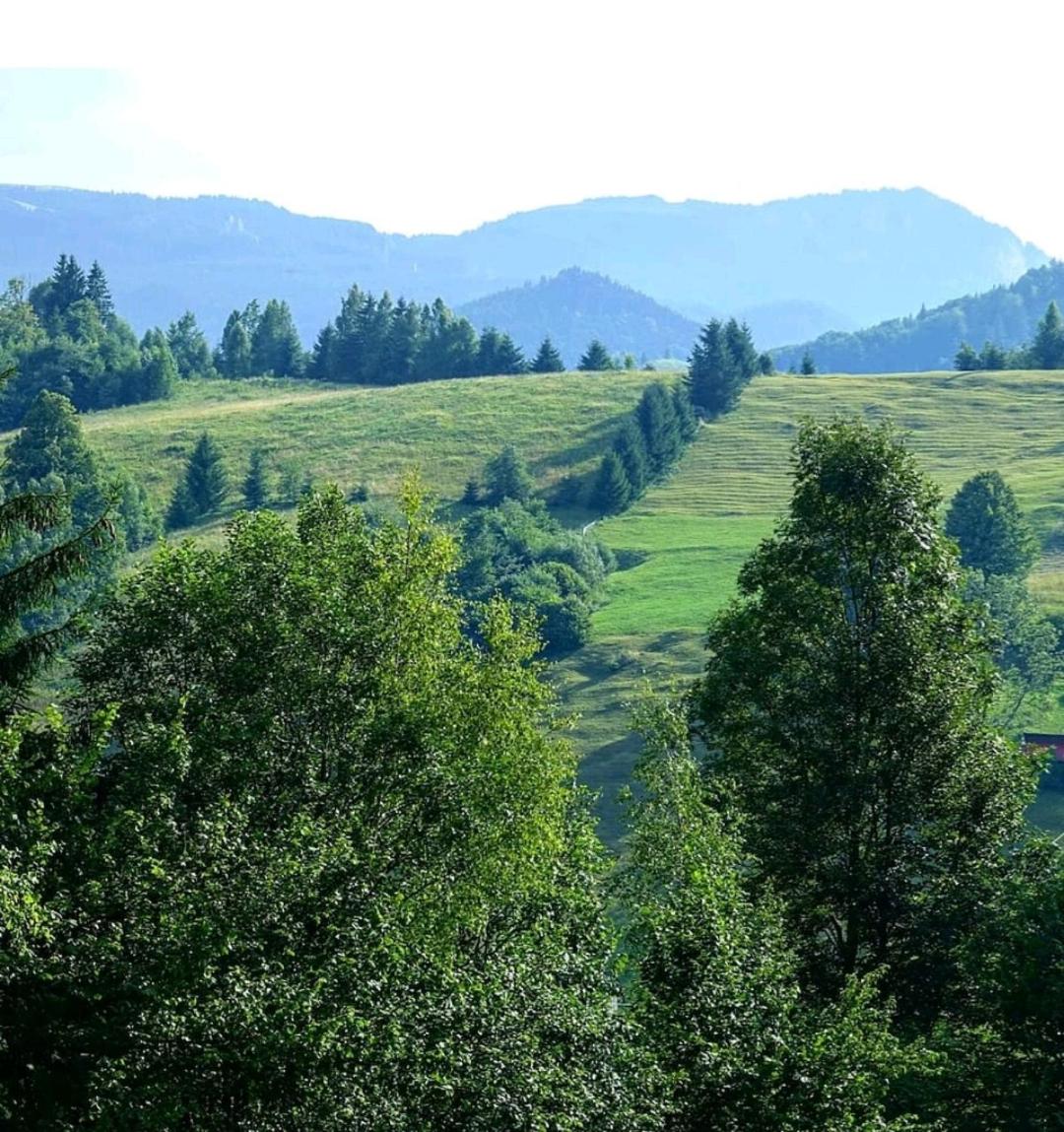 Cabana in Bucovina - Housity