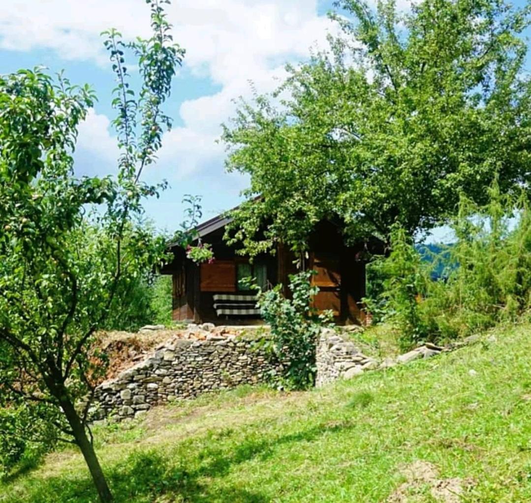 Cabana in Bucovina - Housity
