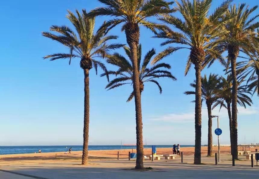 BCN center 10min/Beach 3min/Tren2min/Alcampo 1min - Housity