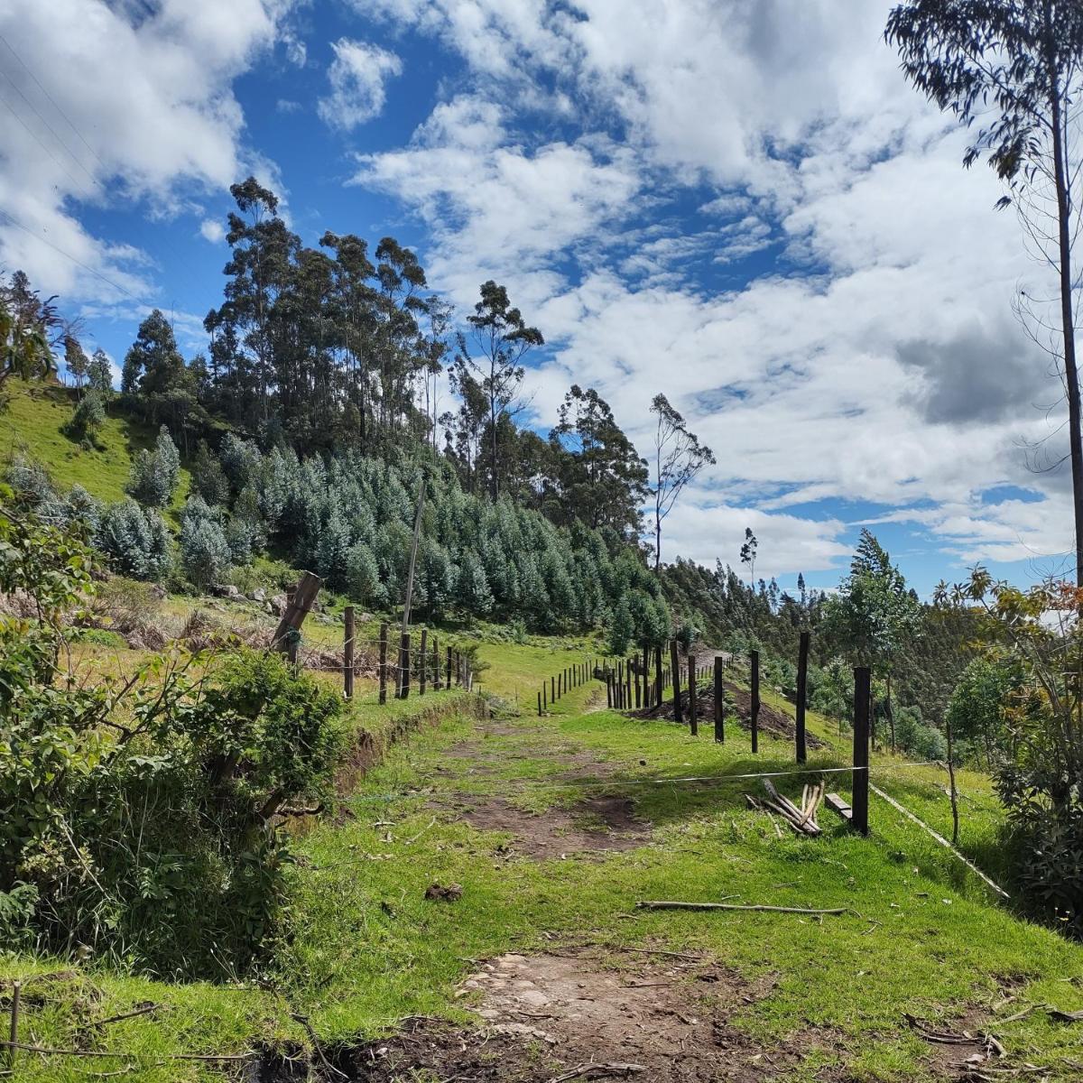 Hacienda El Castillo Hotel Boutique - Housity