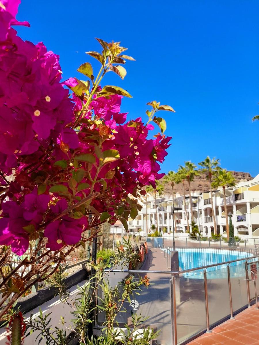 Vista Bella - Planta baja al lado de la piscina - Ground floor by the pool - Housity