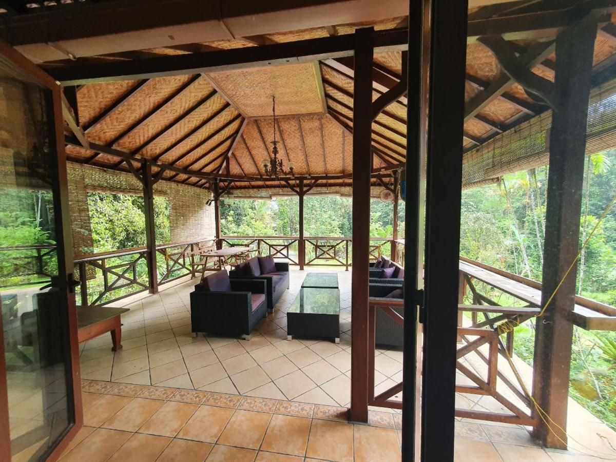 Purimai Jungle House in the heart of Kuala Lumpur - Housity