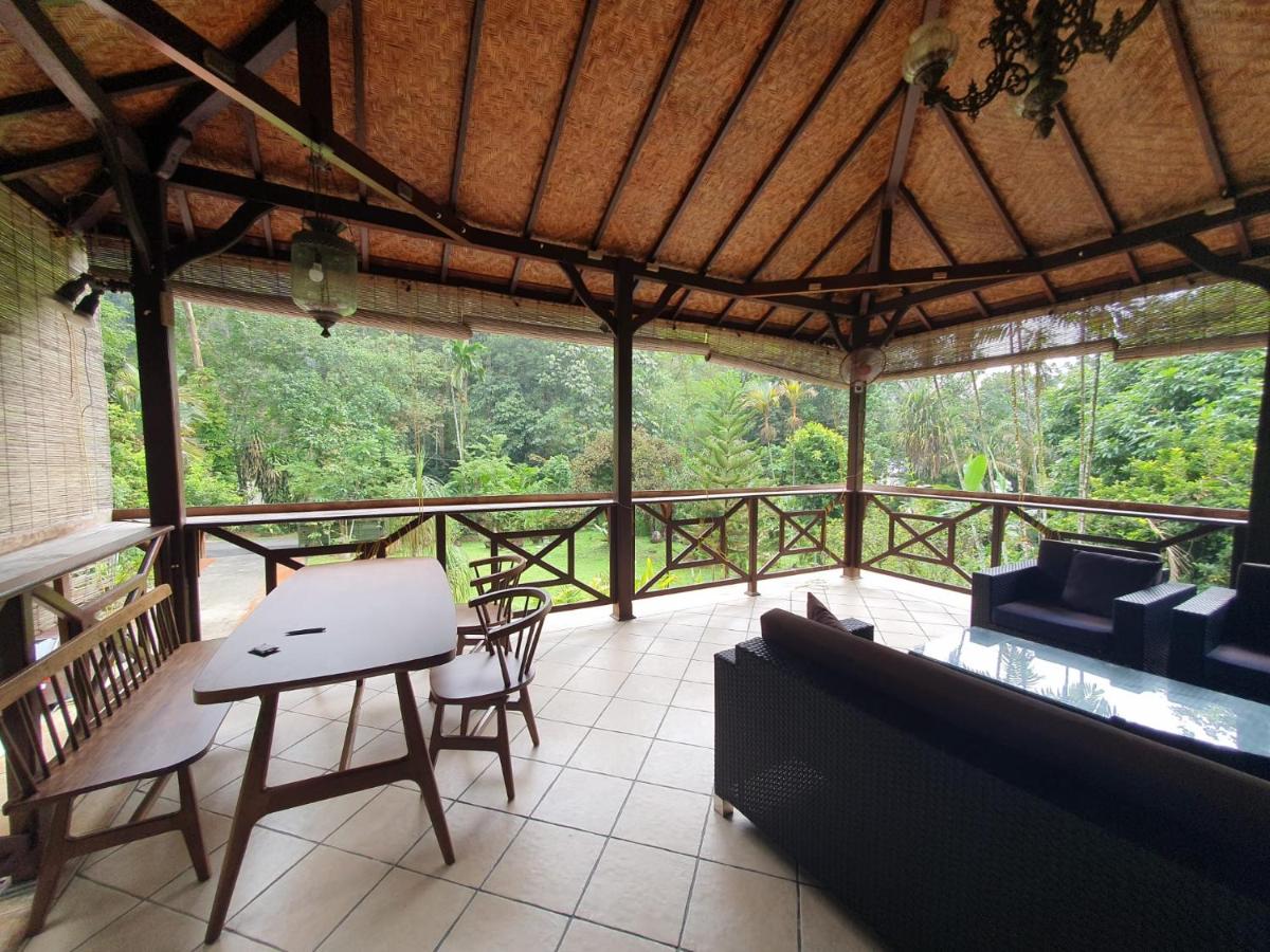 Purimai Jungle House in the heart of Kuala Lumpur - Housity
