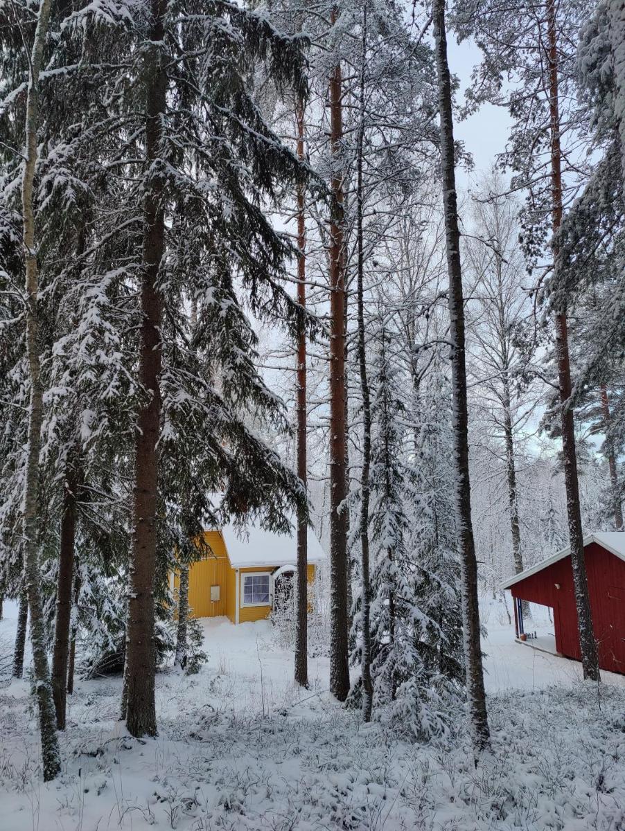 Hiljanrinne - Housity