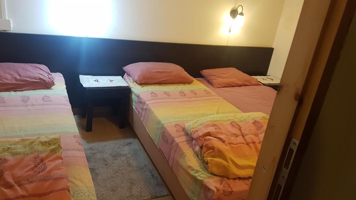 Shavit Simple room - Housity