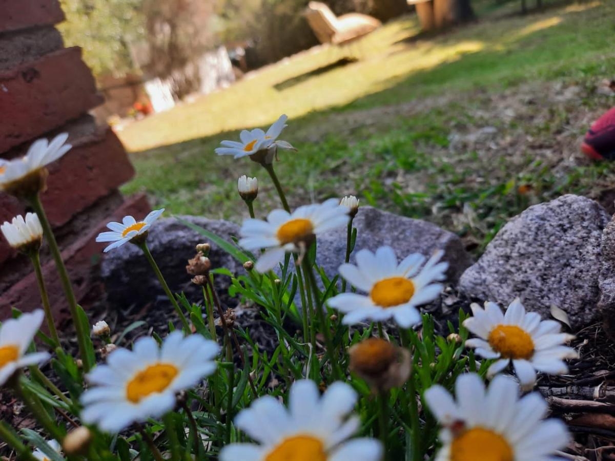 Serendipia - Housity