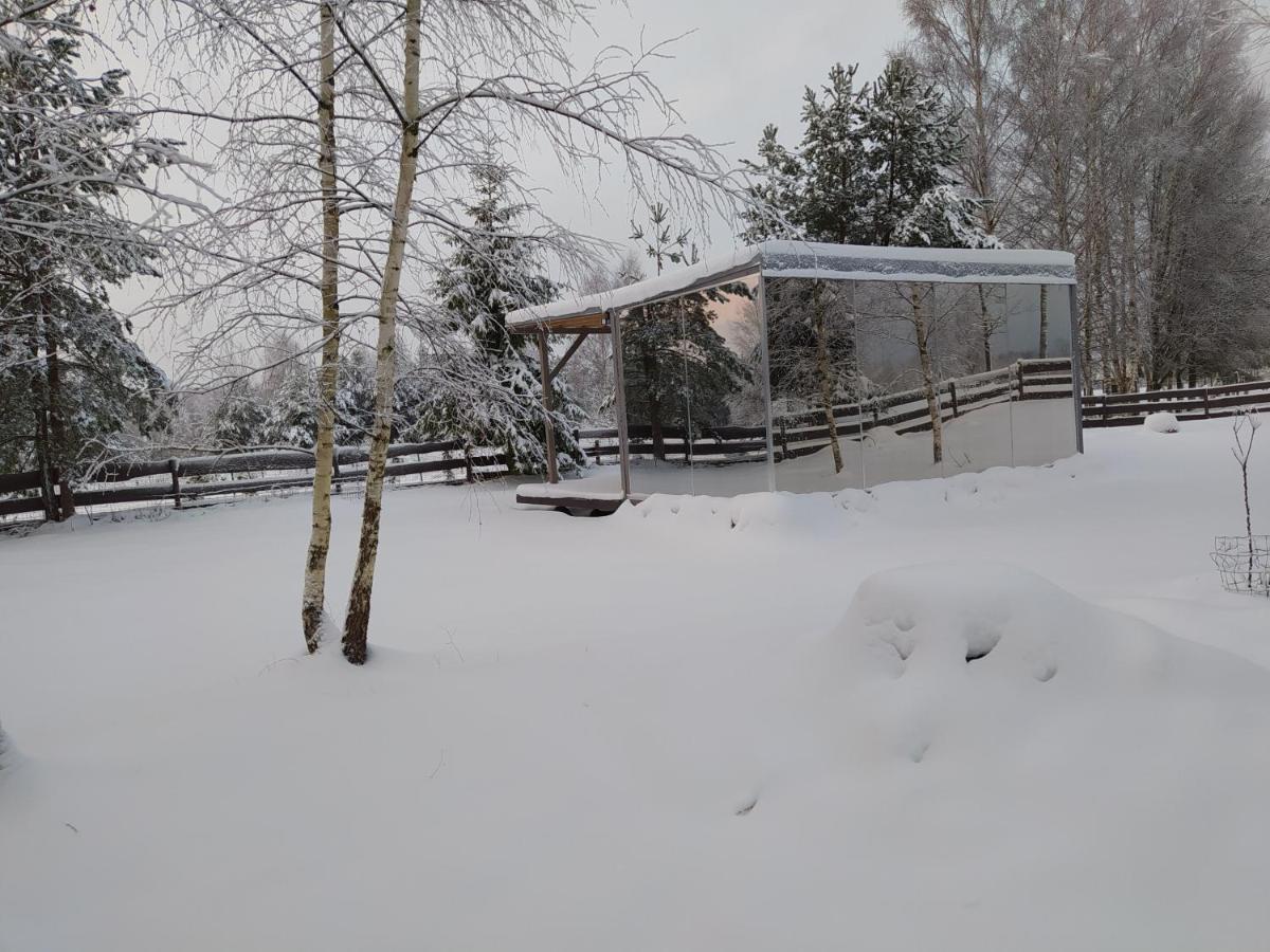 Mirror house - Housity