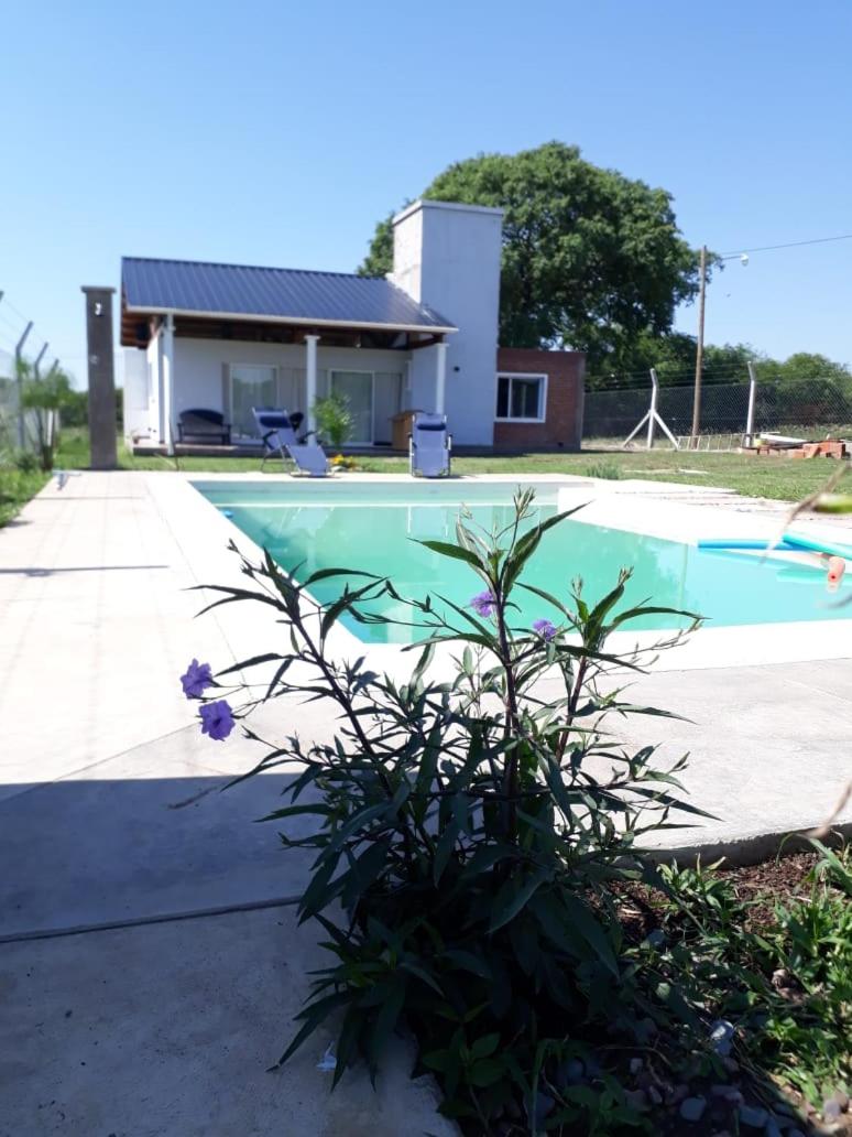 Bosque del Ceibal - Housity