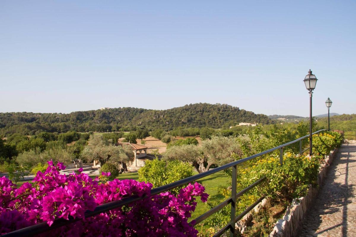 Paisaje cerca de este hotel