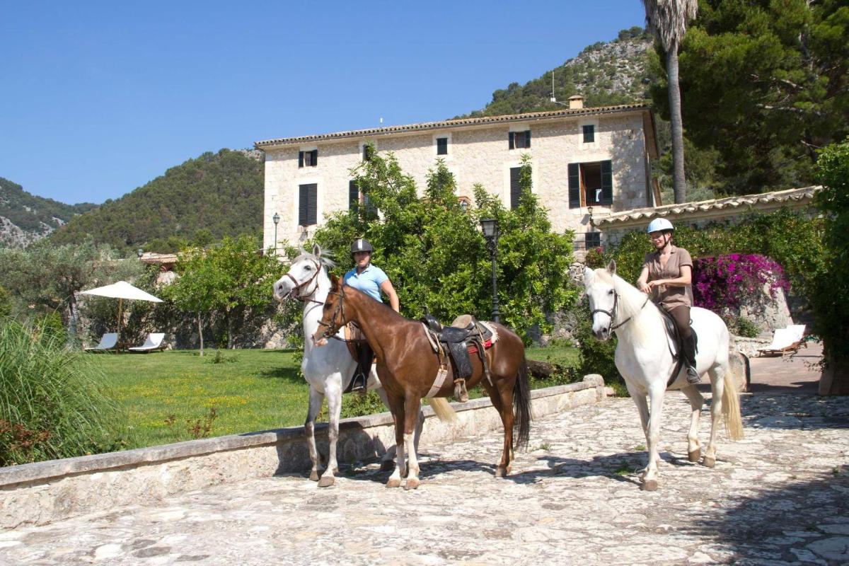 Animales en el hotel o alrededores