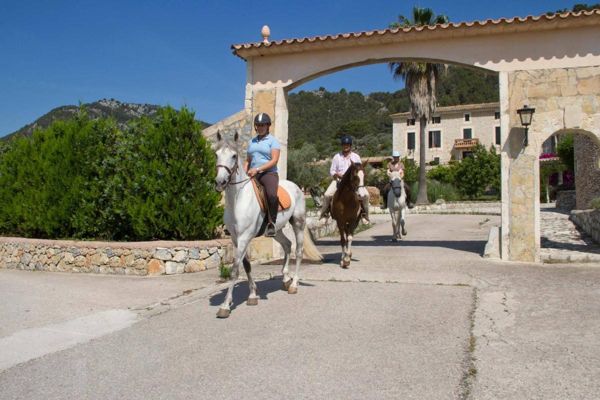 Animales en el hotel o alrededores