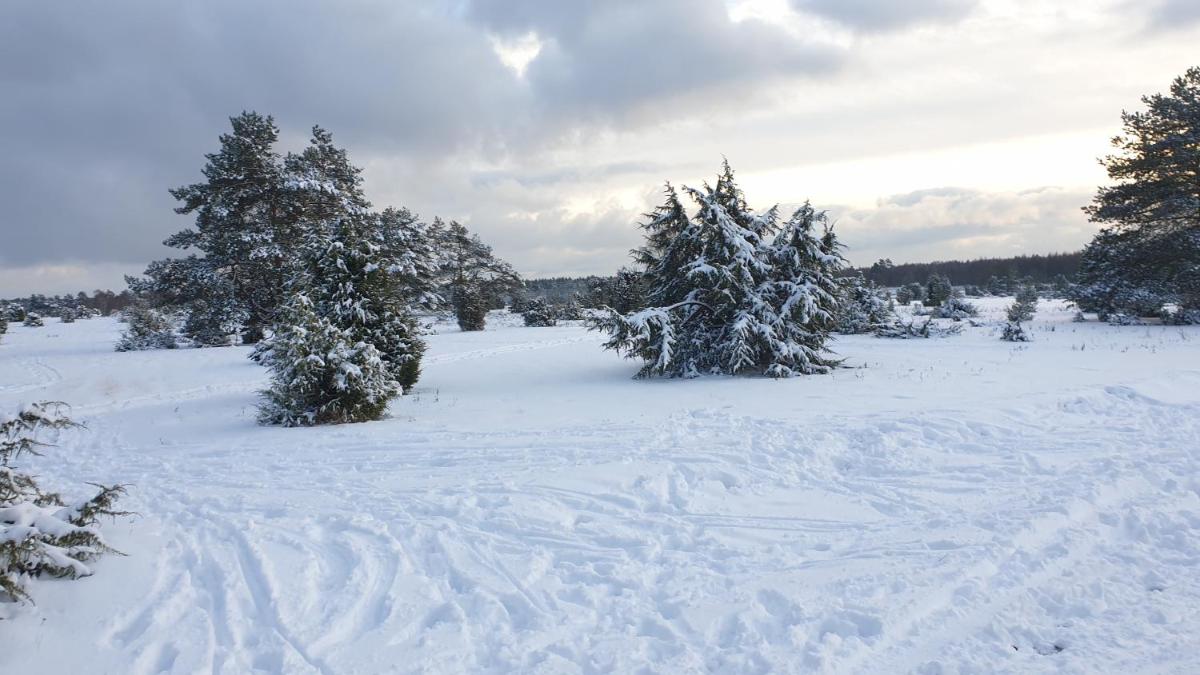 Ferienwohnung Ram - Housity