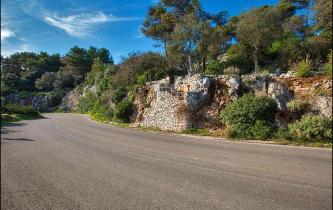 Antica Pajara - Housity