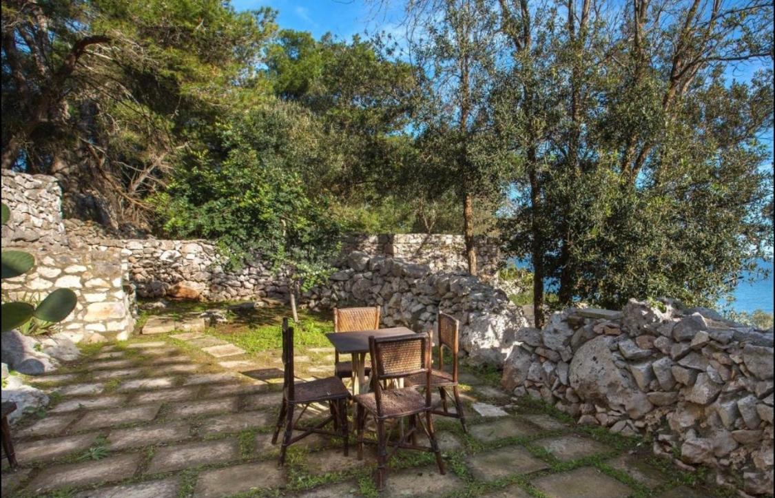 Antica Pajara - Housity