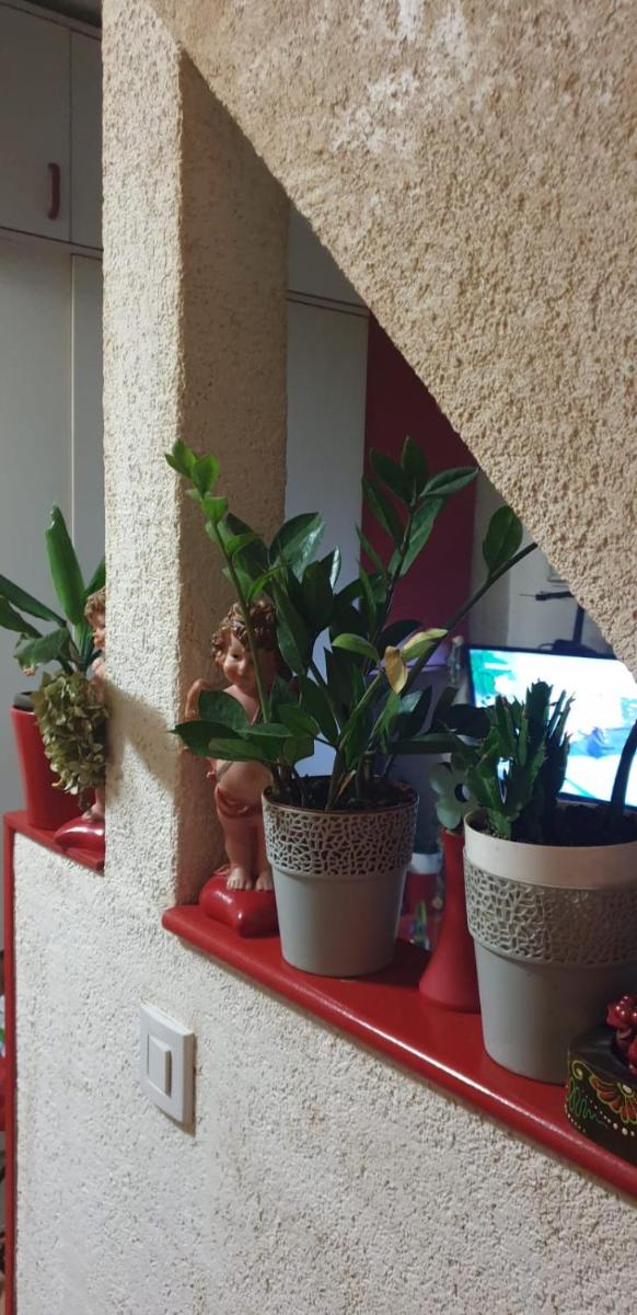 Studio Apartman Dubrava - Housity