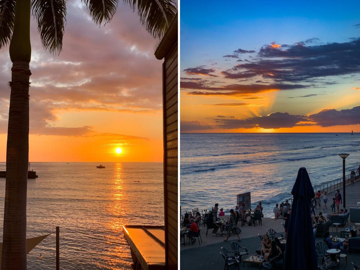 Le Pétrel Noir - Appartement sur la plage des Roches Noires à Saint-Gilles-les-Bains - Housity