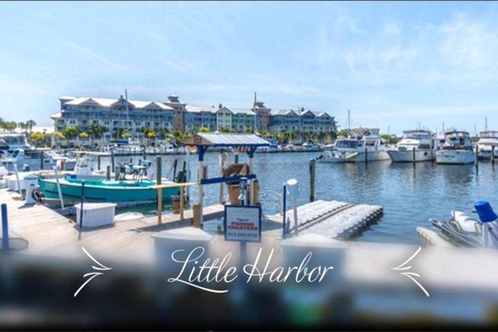 Beautiful one bedroom resort-style studio with pool and beach access - Housity