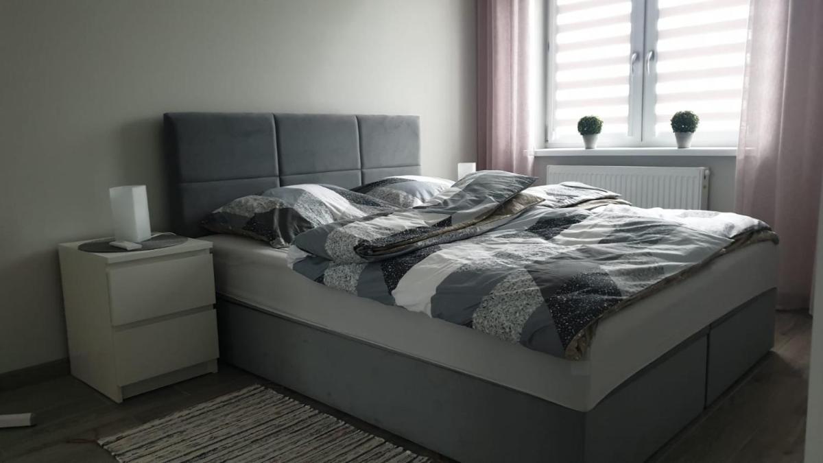 Apartament STYL - Housity