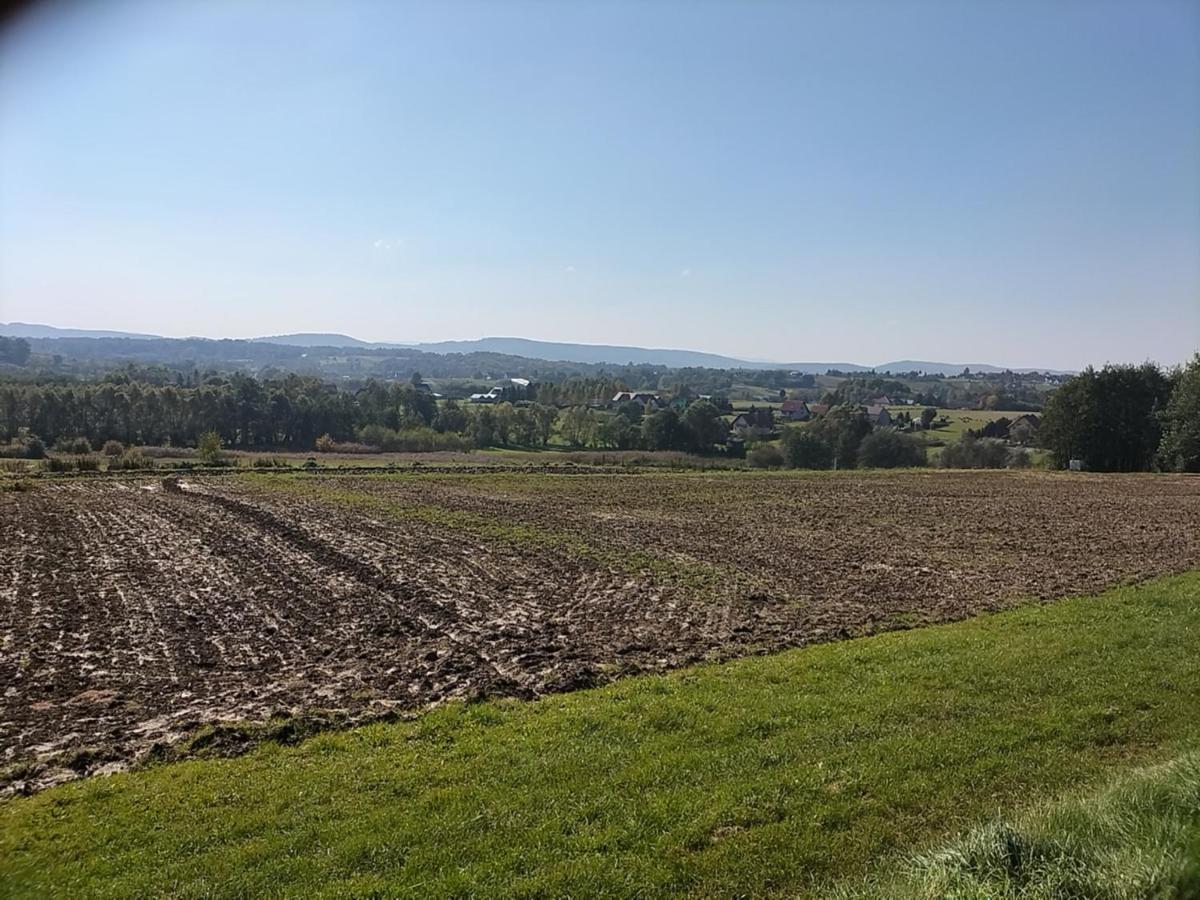 Zielony Zakątek - Housity