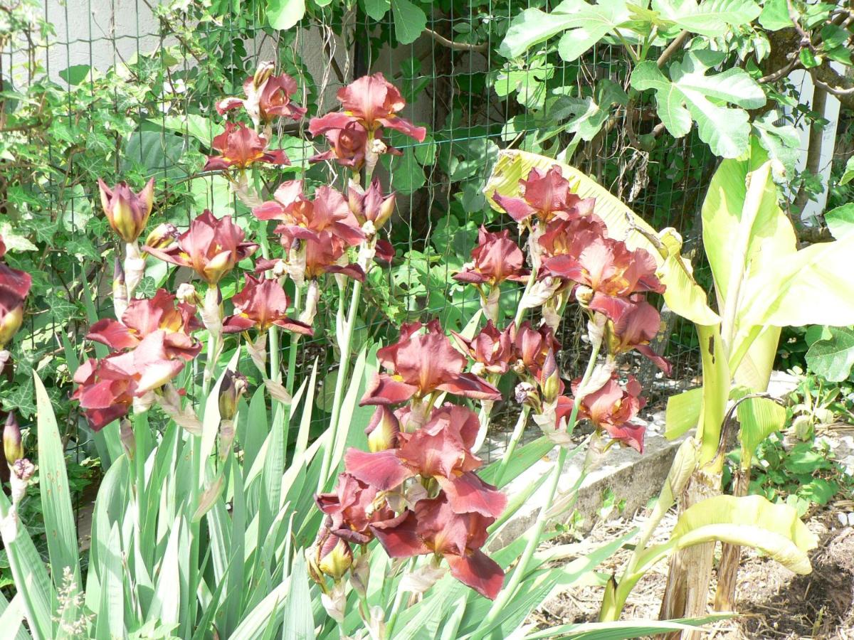 la Maison d'Arbouet - Housity