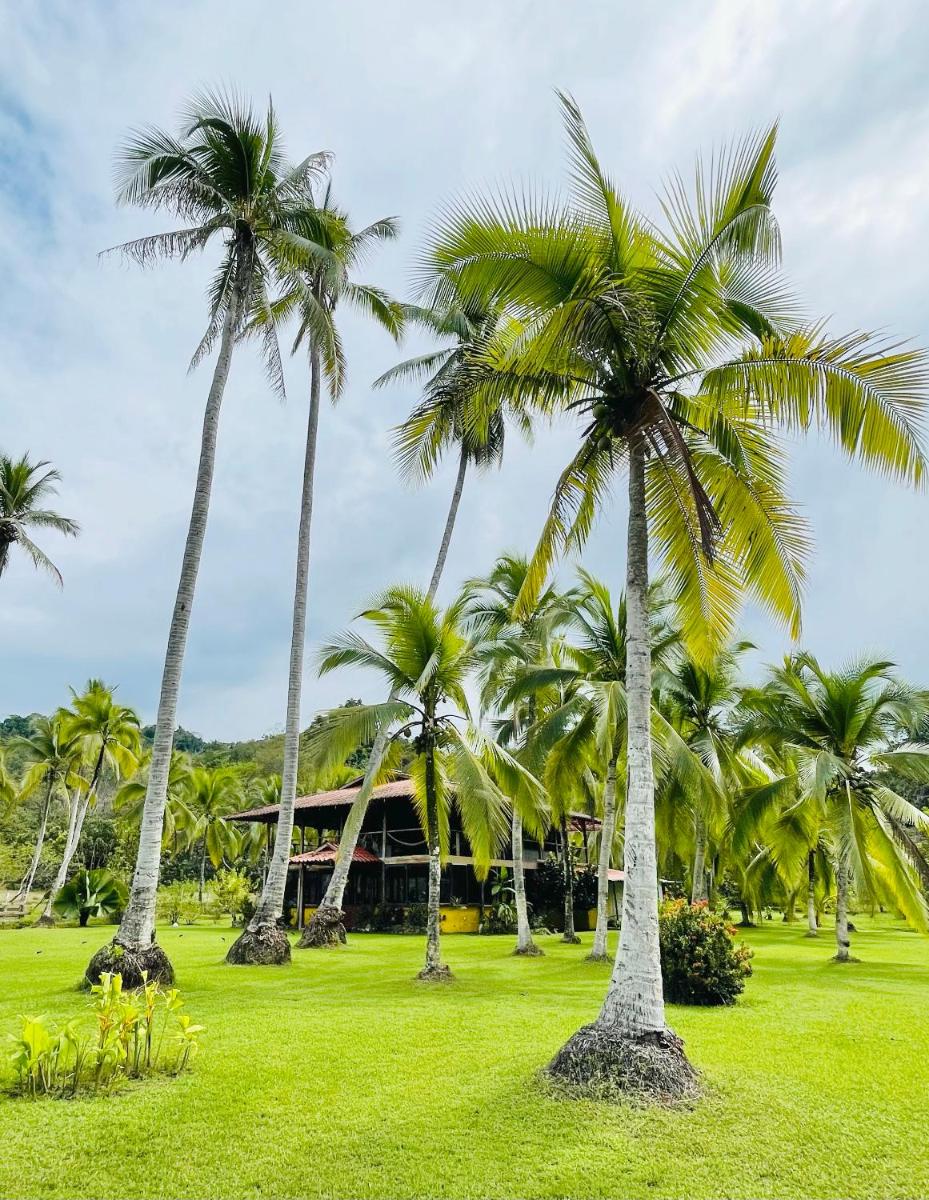 Finca Manglar-boat, horses, pool, staff, tours included - Housity