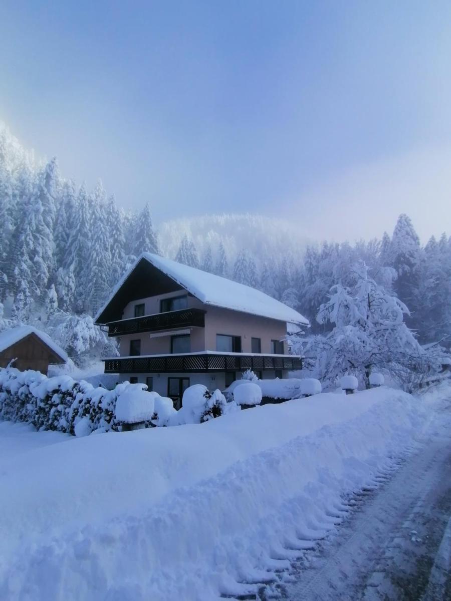Apartments Mertelj - Housity