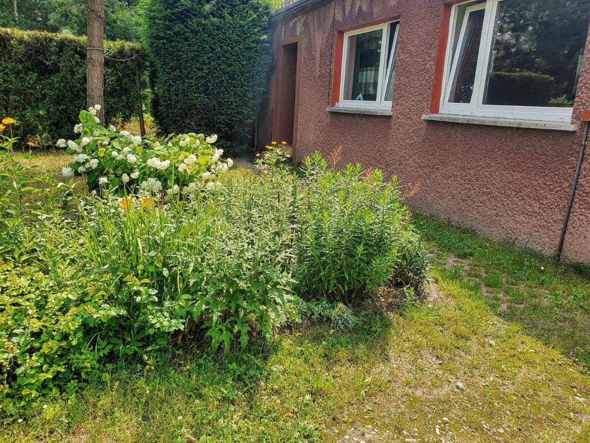 Apartament u Ani - Housity