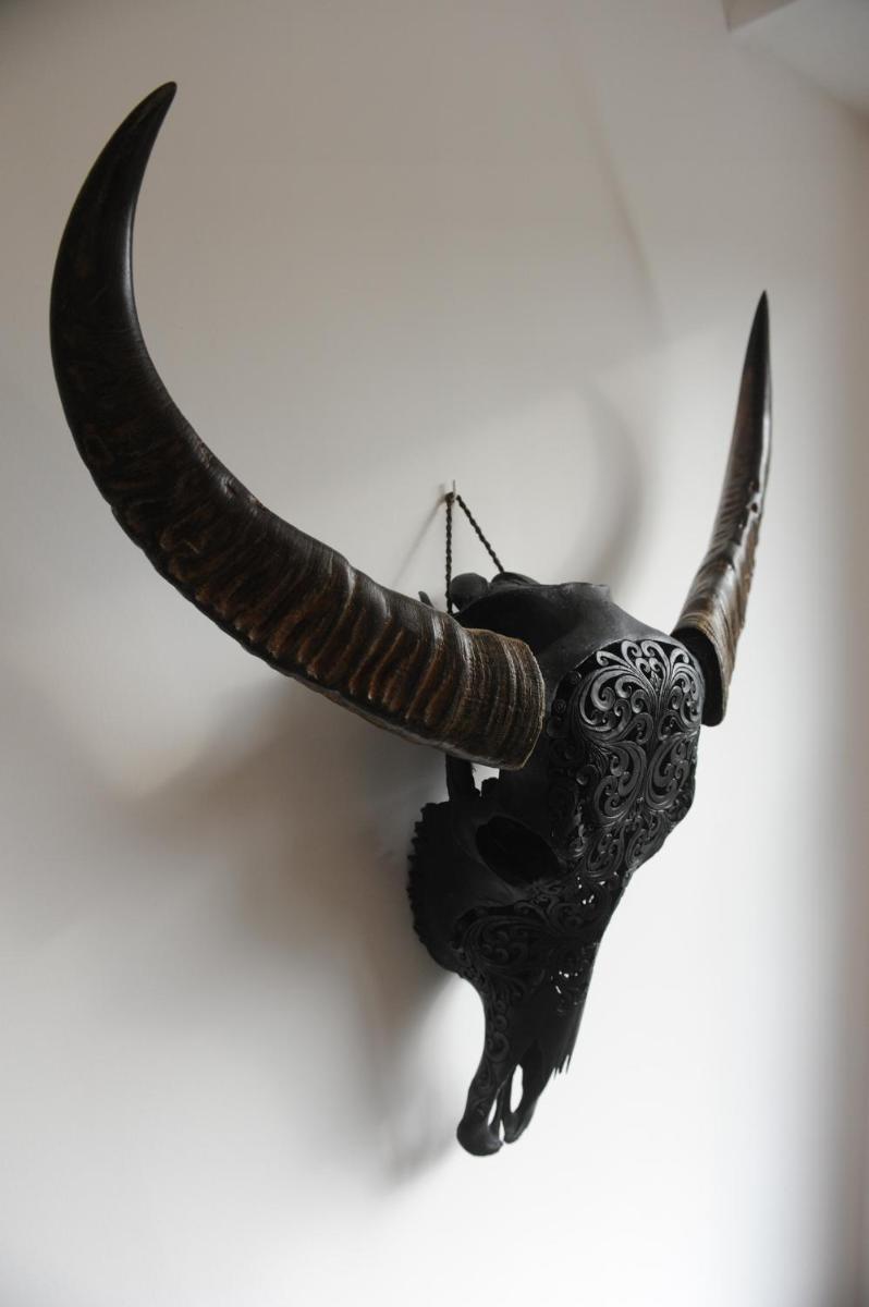 Les Briochines - Cocon cosy en plein centre-ville - Housity