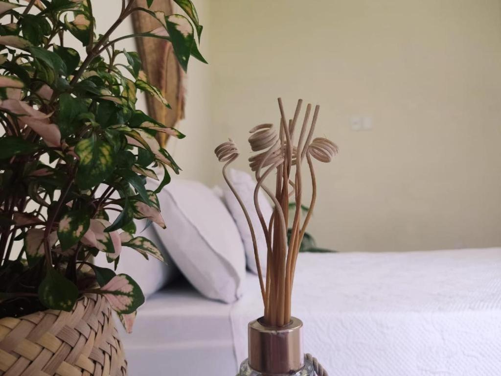 Casa das Araras - Trancoso/BA - Housity