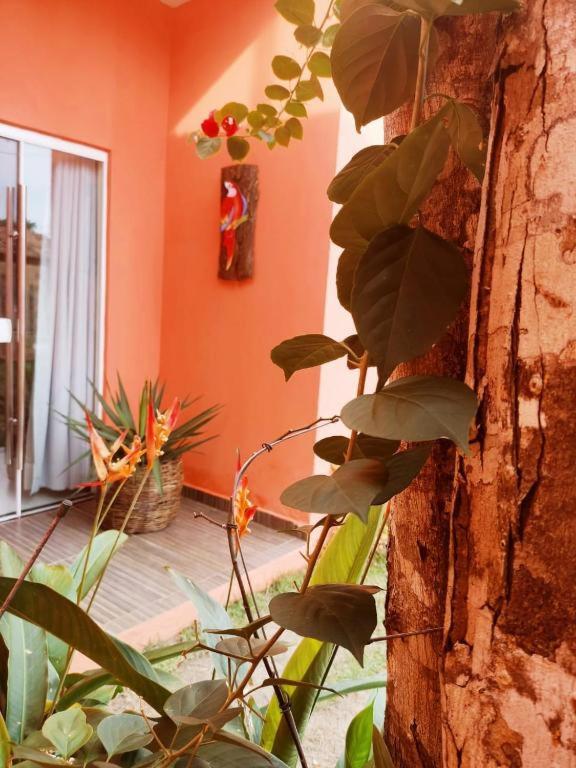 Casa das Araras - Trancoso/BA - Housity