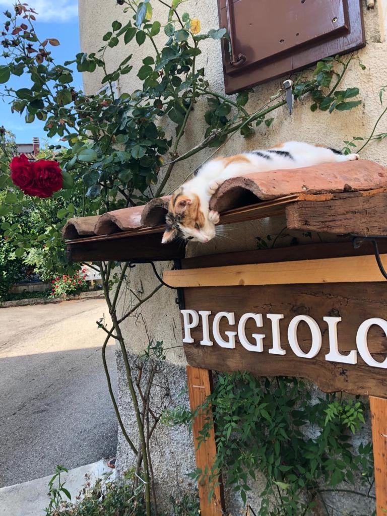 PIGGIOLO - Housity