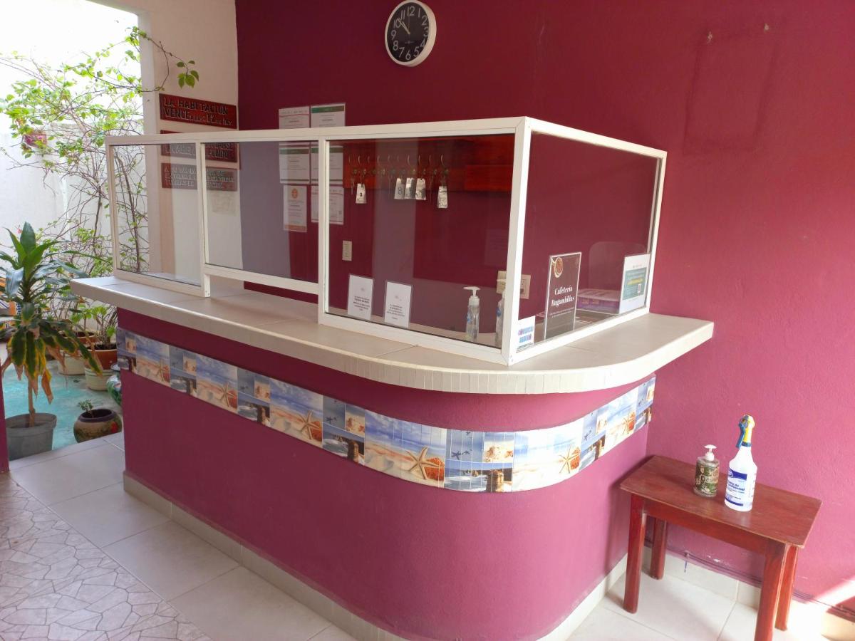 Posada Casa Bugambilias - Housity