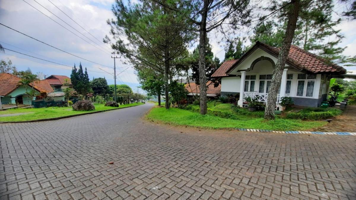 Villa Denisa - Housity