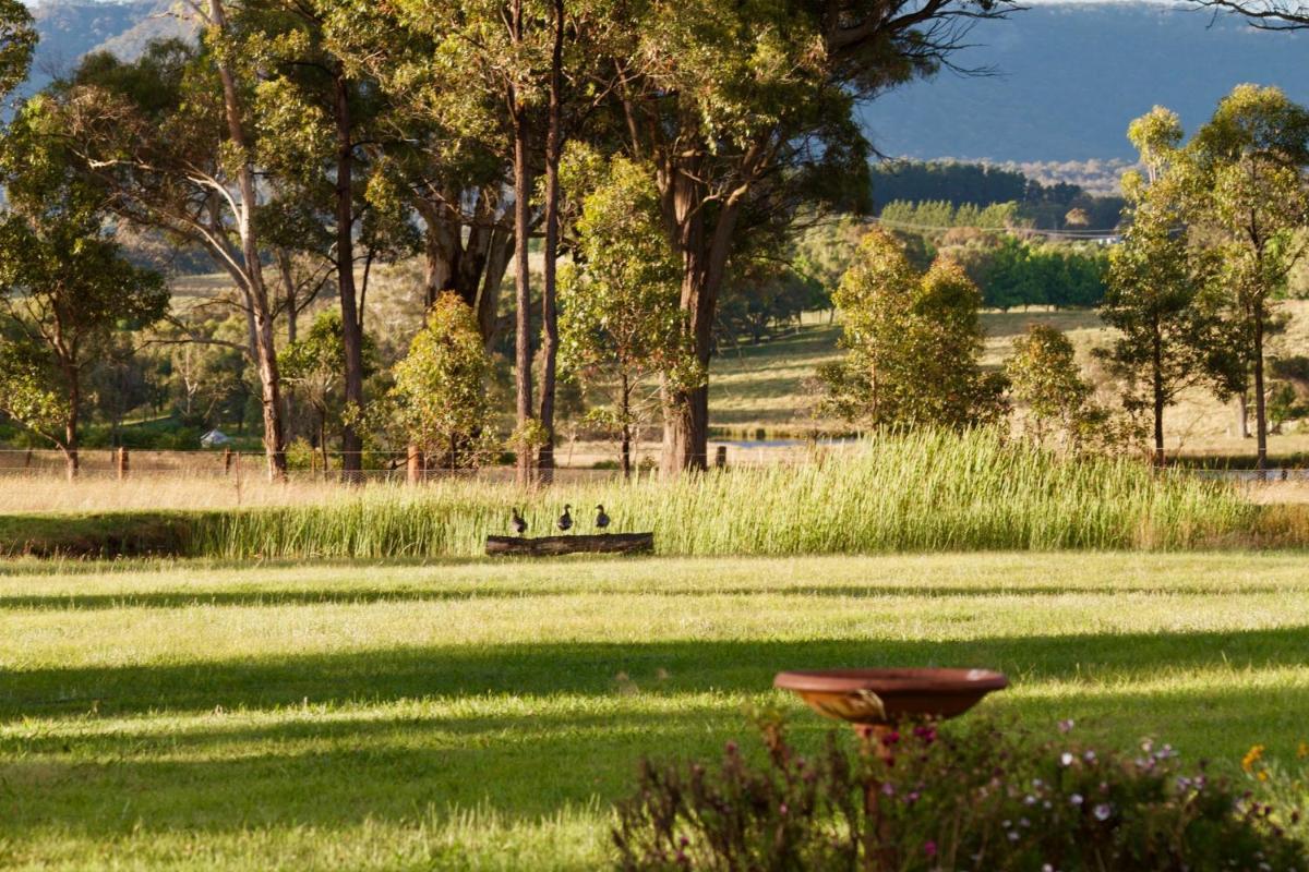 Marigold Cottage, A Blue Mountains Oasis- Spacious, Views & Kangaroos - Housity