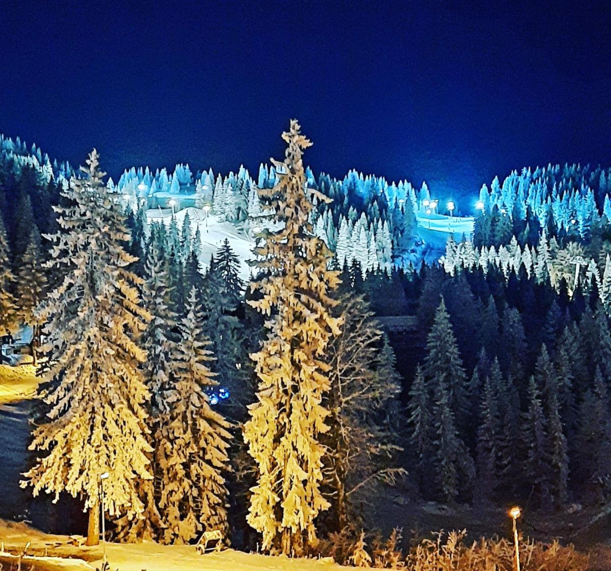 Pino apartman Jahorina - Housity