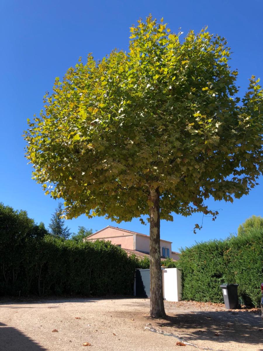 Villa avec vue campagne - Housity