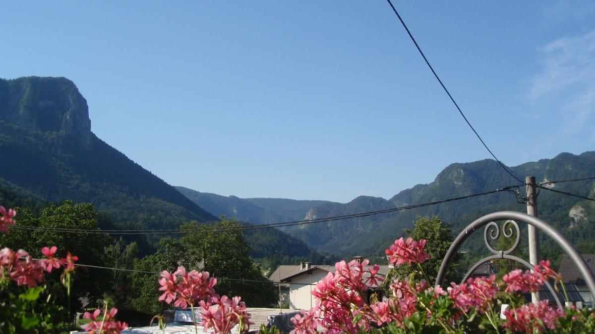 Apartments Gregorc - Housity