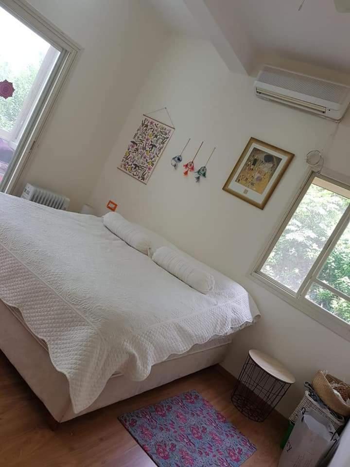 בית קטן צבעוני וחדש על הואדי - Housity
