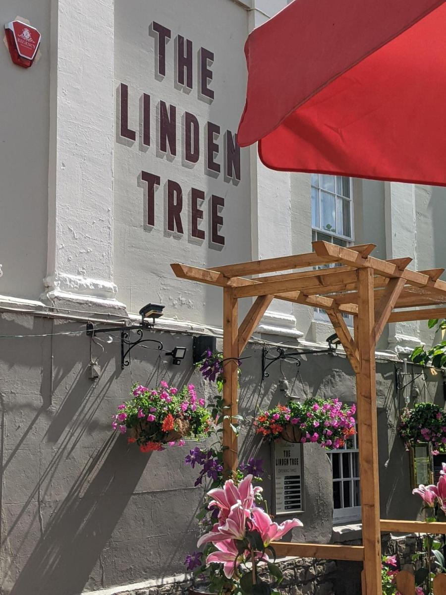 Linden Tree - Housity