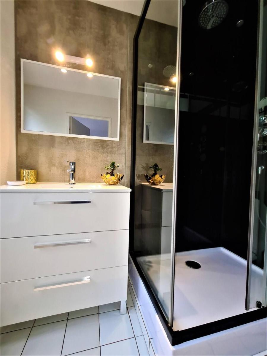 Joli T2 lumineux et cosy au centre d'Annecy - Housity