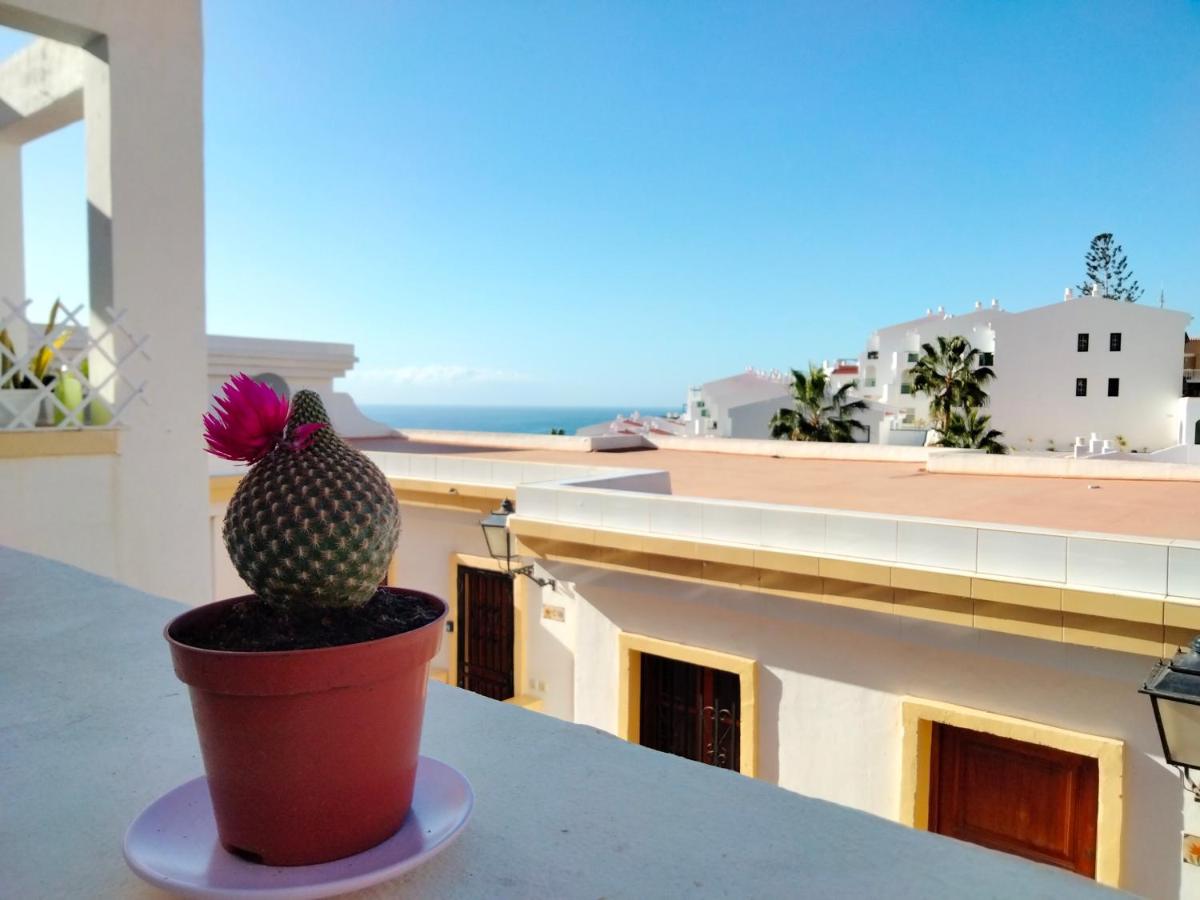 Windsor Park Atlantic View - Housity