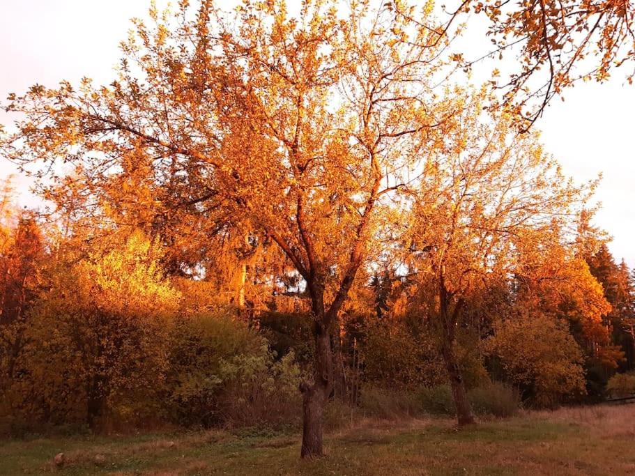 CRYSTAL CLEAR AIR, TRANQUILITY & STUNNING SUNSETS - Housity