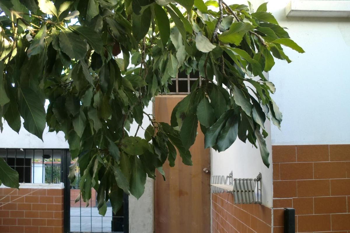 Mi pequeña estancia en Caracas - Housity