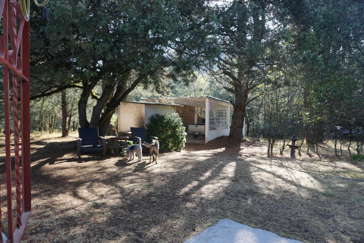Hogar a las afueras del Parque Nacional El Chico. - Housity