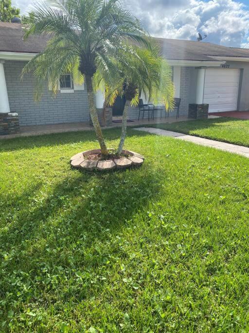 Modern and stylish home 10 minutes from MCO Airport - Housity