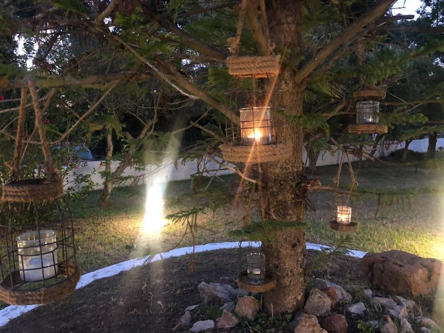 Villa Anastasia! in STROFYLIA pine FOREST!!! - Housity